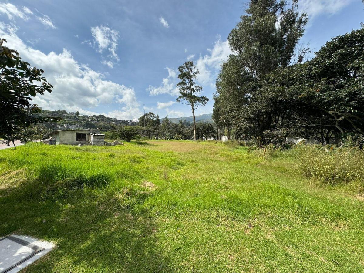 Venta Terreno Urbanización Exclusiva Ruta Viva — imagen 10