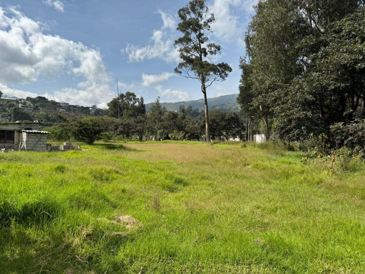 Venta Terreno Urbanización Exclusiva Ruta Viva — imagen 9