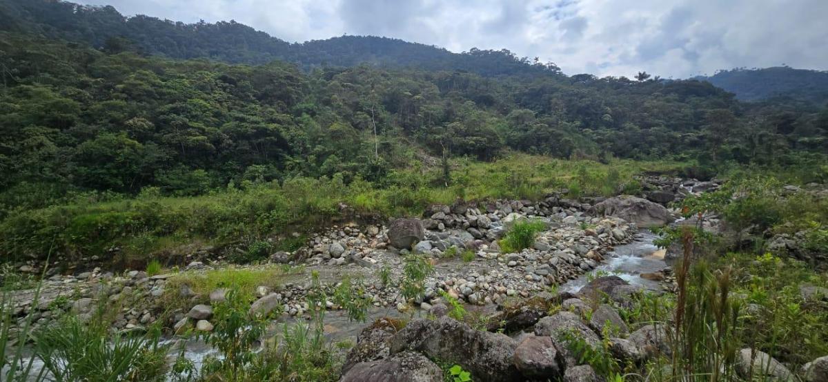 Terreno en Rio Negro, Tungurahua — imagen 6