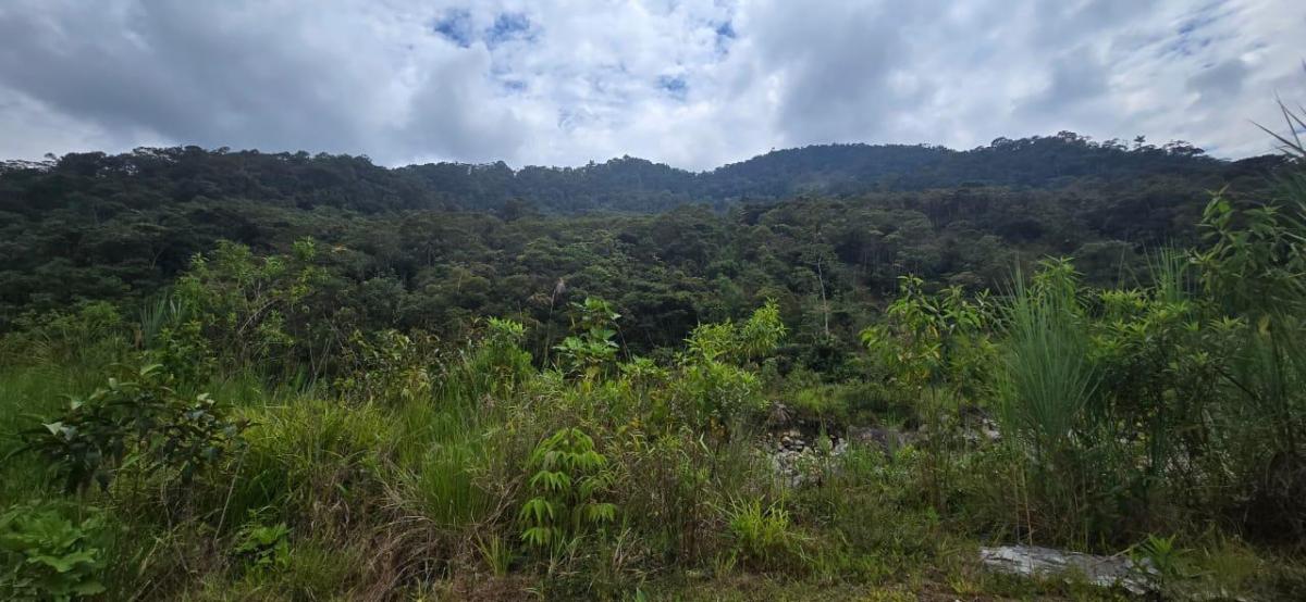 Terreno en Rio Negro, Tungurahua — imagen 4
