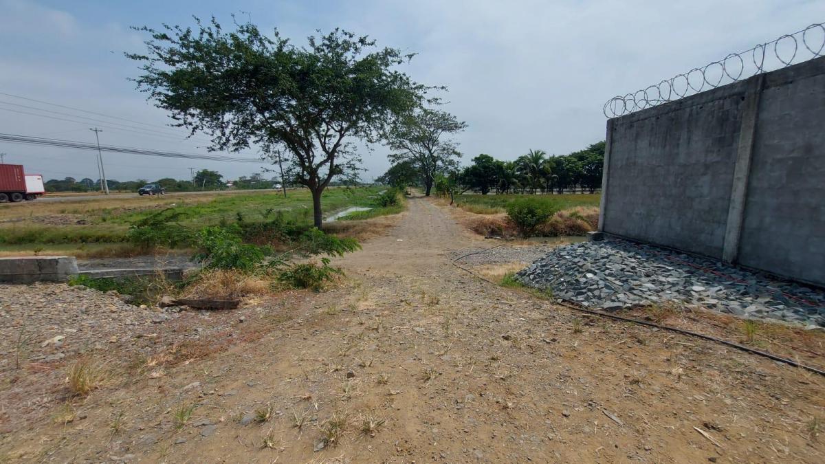 Venta de Terreno Alto Impacto Al Pie del Carretero Via Al Pan Km 7, Guayas — imagen 6