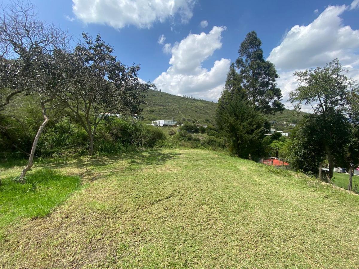 Espectacular Terreno de Venta Dentro de Urbanización — imagen 6