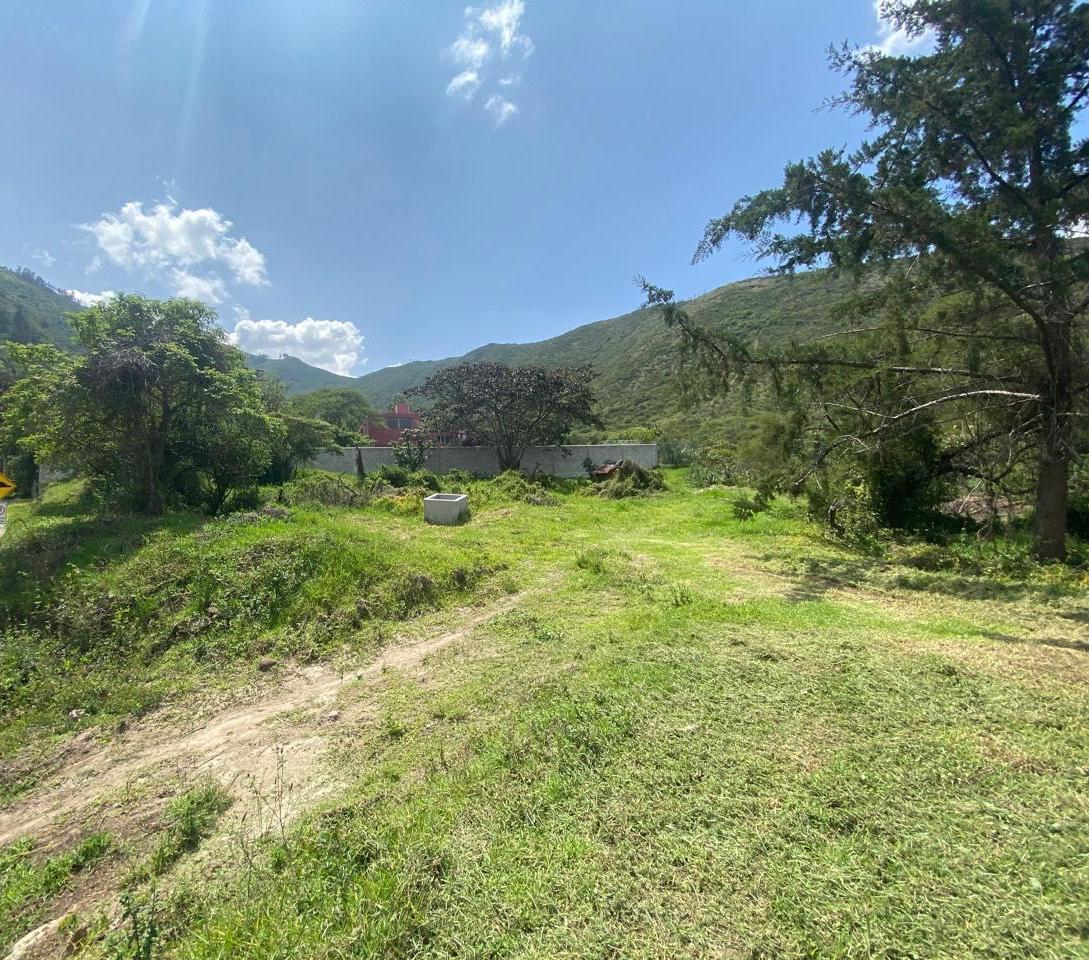 Espectacular Terreno de Venta Dentro de Urbanización — imagen 3