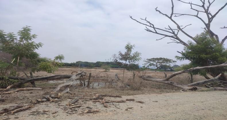 Terrenos en Guayas, Daule, Nobol Lotización Los Canales Km 5, Guayas — imagen 8