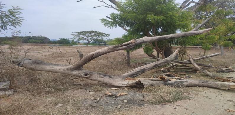 Terrenos en Guayas, Daule, Nobol Lotización Los Canales Km 5, Guayas — imagen 6