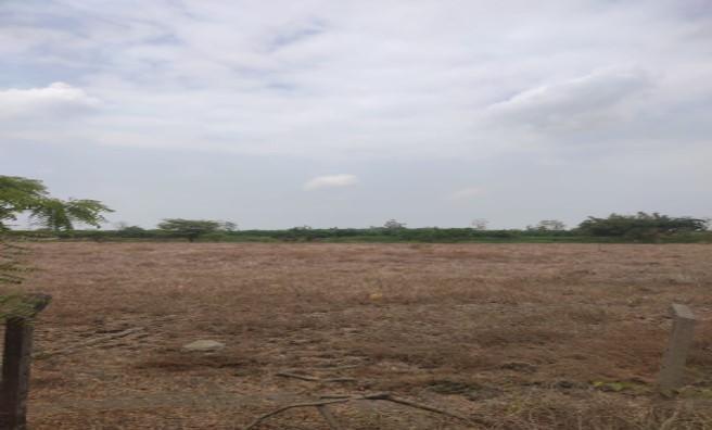 Terrenos en Guayas, Daule, Nobol Lotización Los Canales Km 5, Guayas — imagen 3