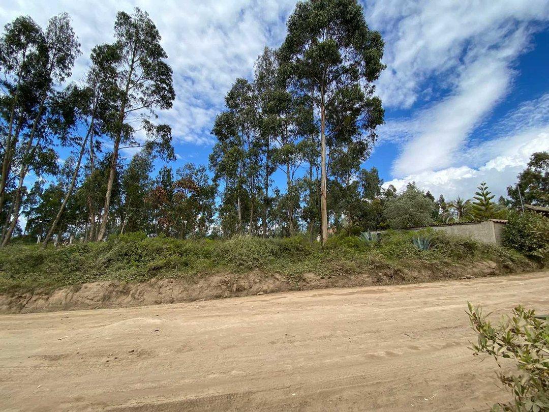 Terreno en Venta La Esperanza, Pedro Moncayo — imagen 9