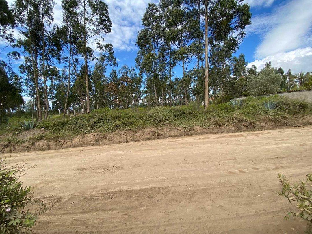 Terreno en Venta La Esperanza, Pedro Moncayo — imagen 8