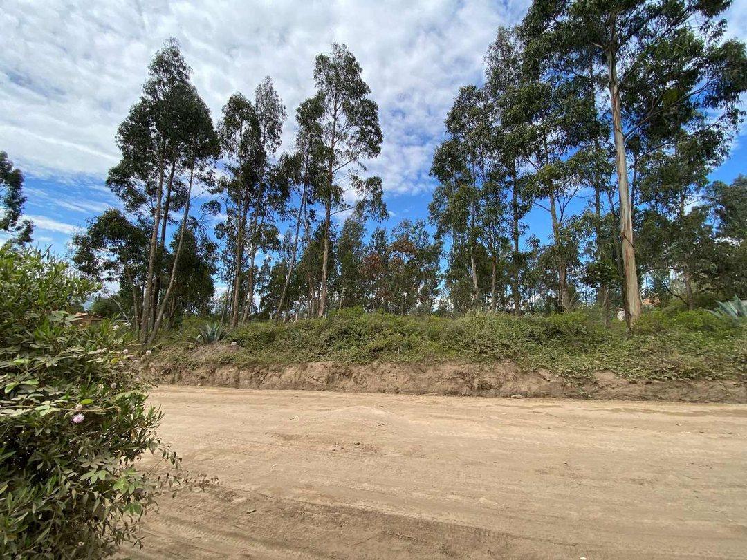 Terreno en Venta La Esperanza, Pedro Moncayo — imagen 6