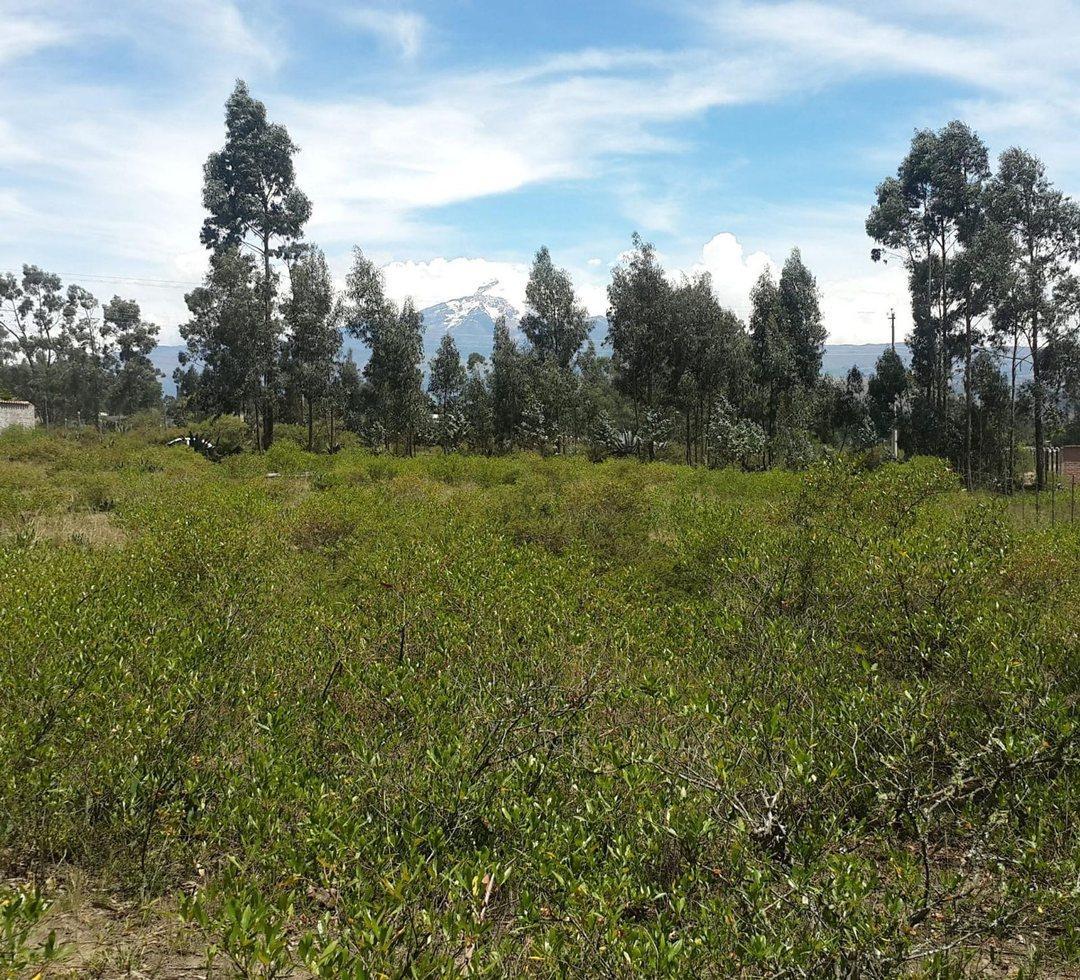 Terreno en Venta La Esperanza, Pedro Moncayo — imagen 3