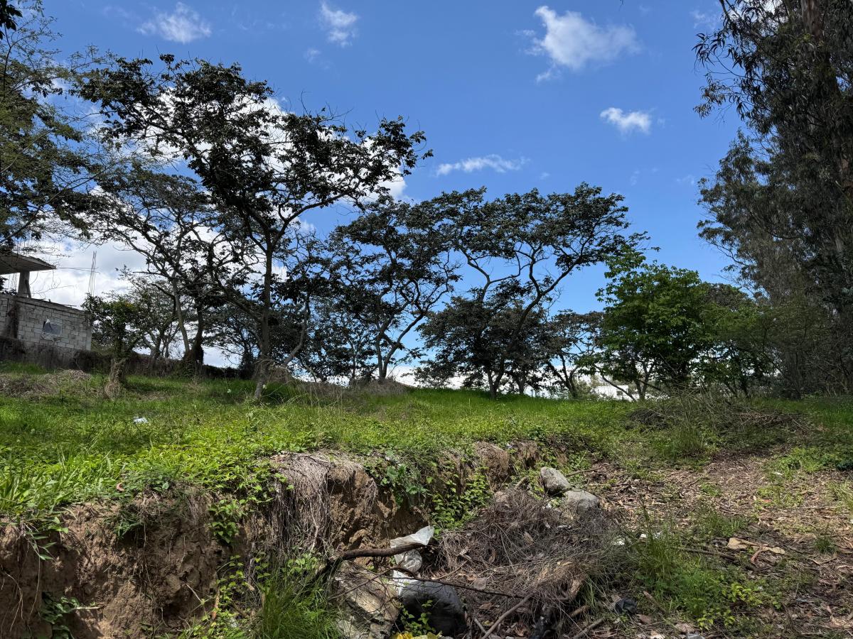 Vendo Terreno 2.309,26 m² Sector Inchapicho Nayon — imagen 5