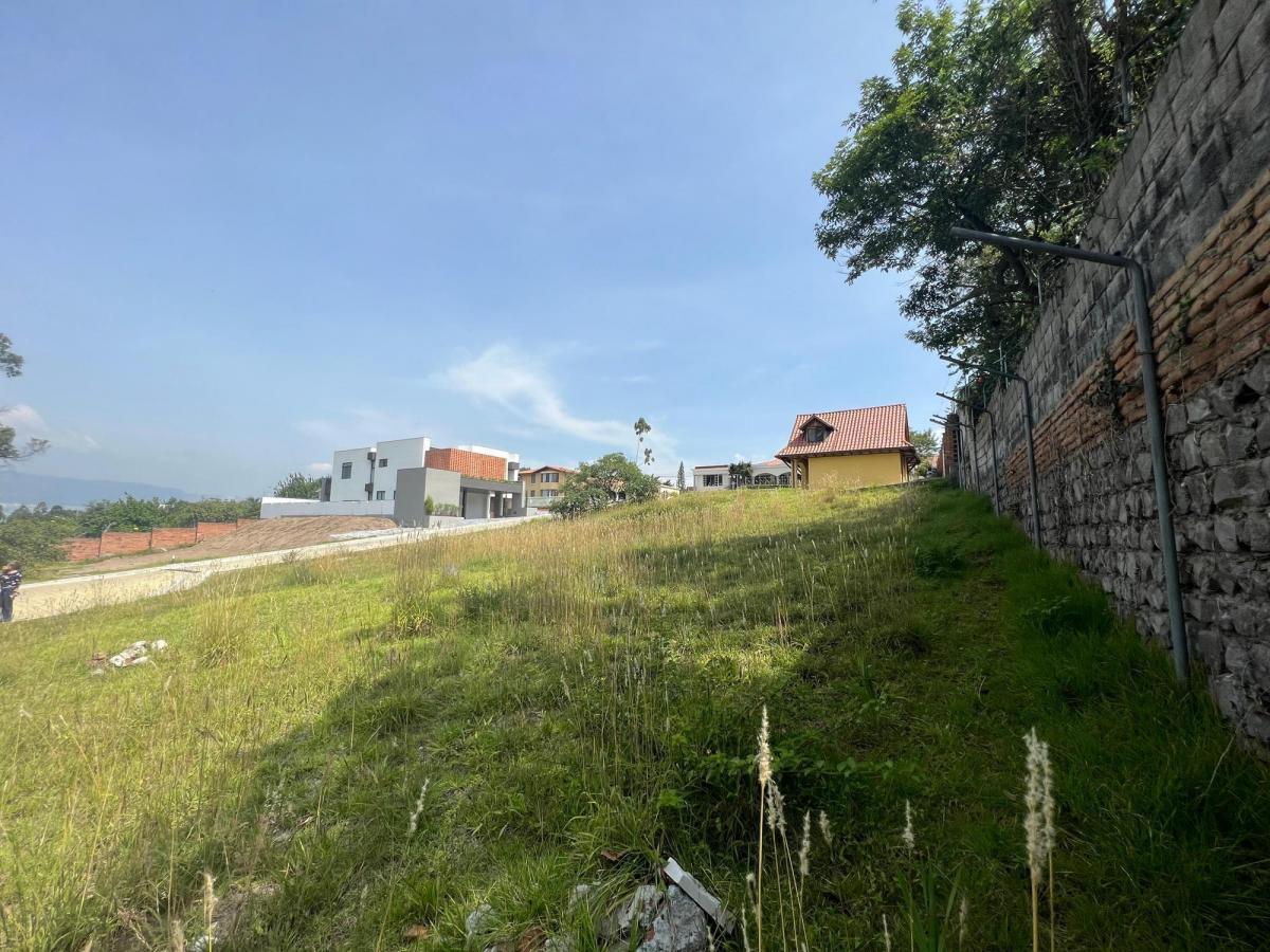 Venta Terreno 603 m² Tumbaco - Morita - Ruta Viva — imagen 10