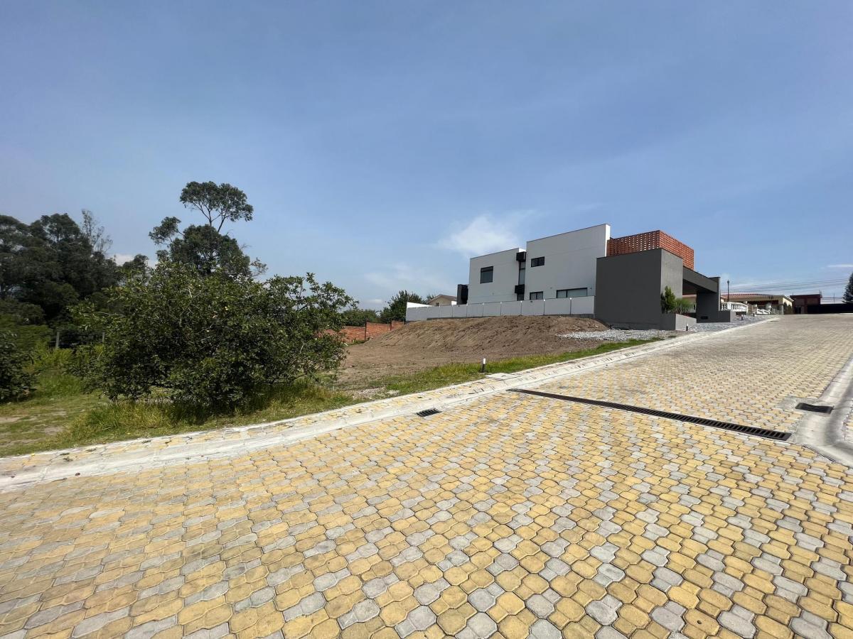 Venta Terreno 603 m² Tumbaco - Morita - Ruta Viva — imagen 9