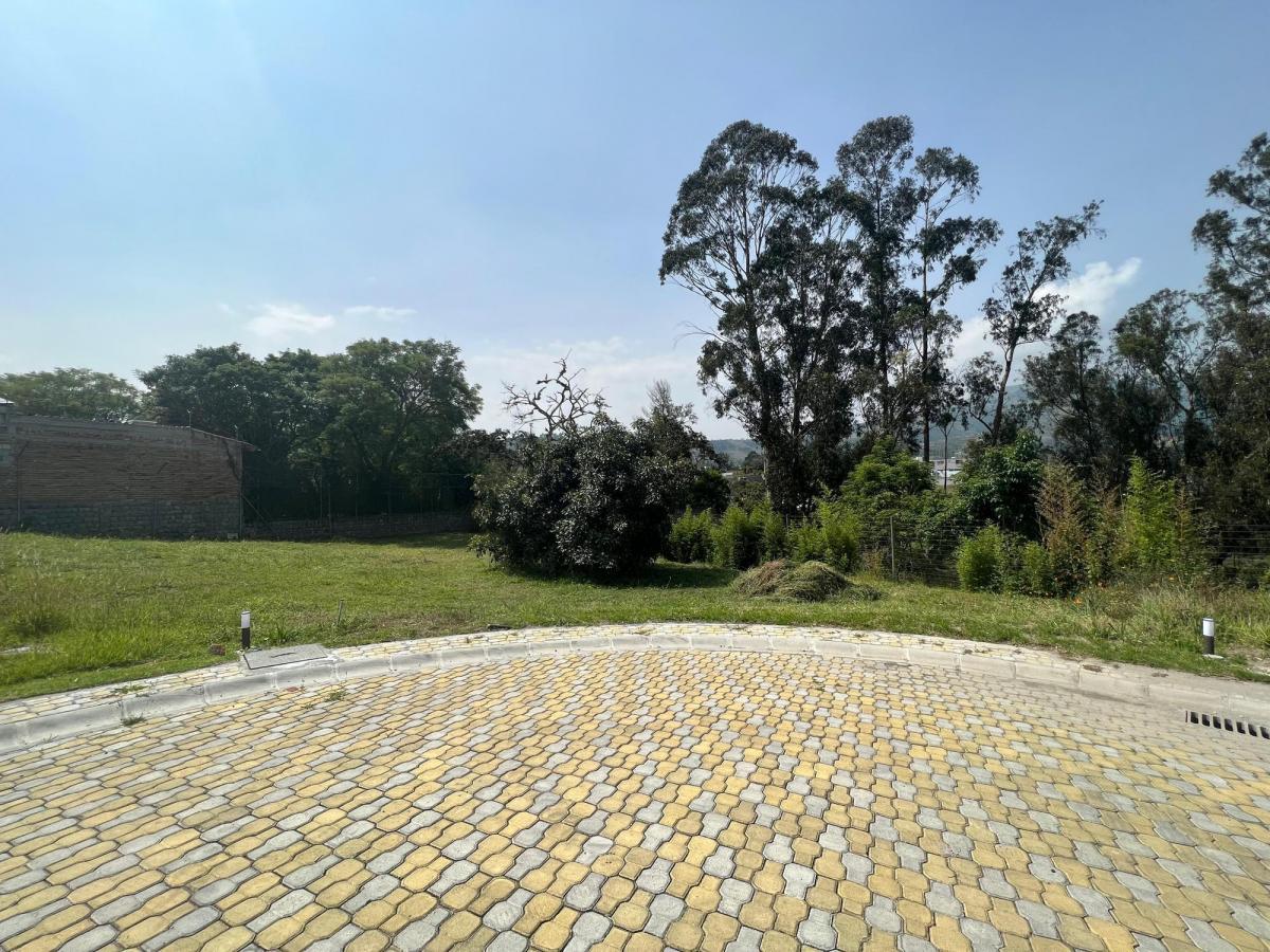 Venta Terreno 603 m² Tumbaco - Morita - Ruta Viva — imagen 7