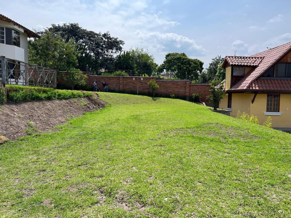 Venta Terreno 603 m² Tumbaco - Morita - Ruta Viva — imagen 6