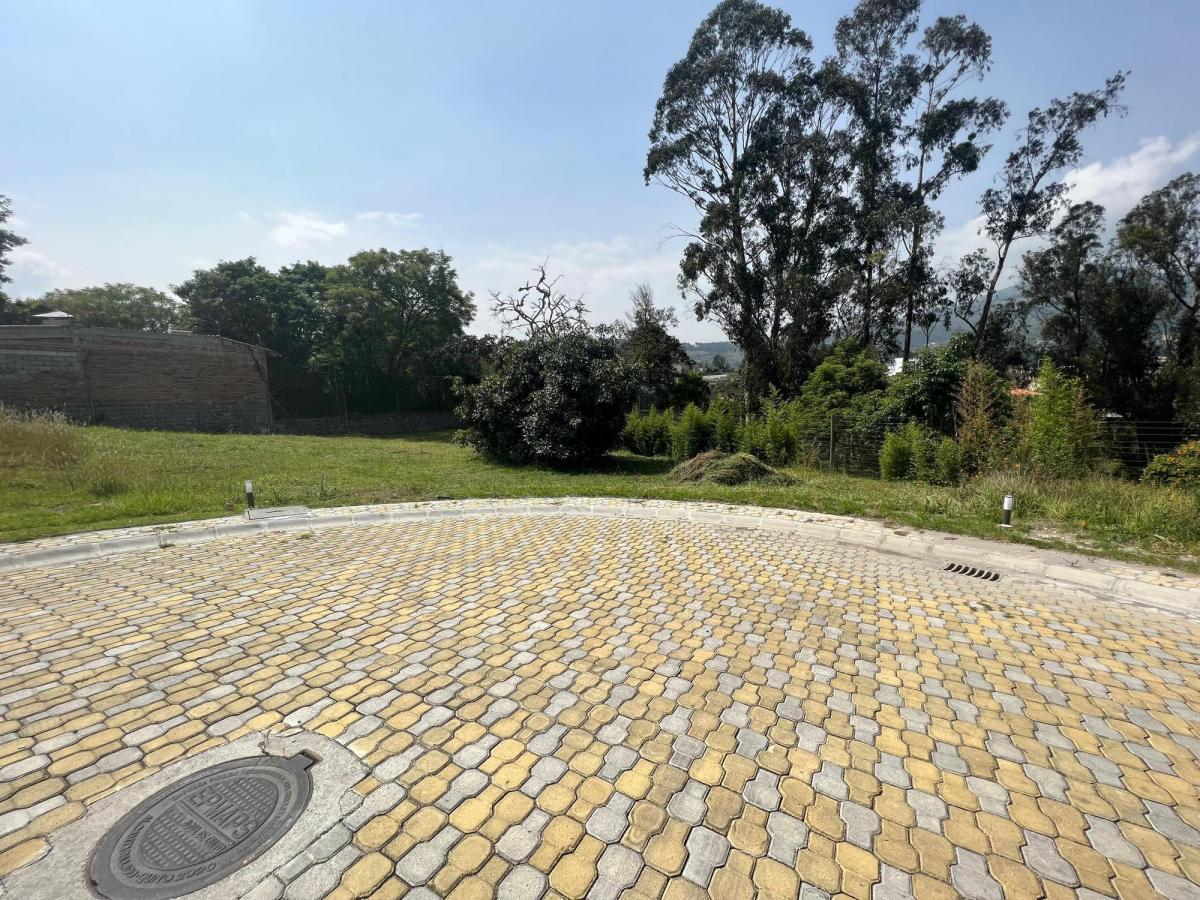 Venta Terreno 603 m² Tumbaco - Morita - Ruta Viva — imagen 5