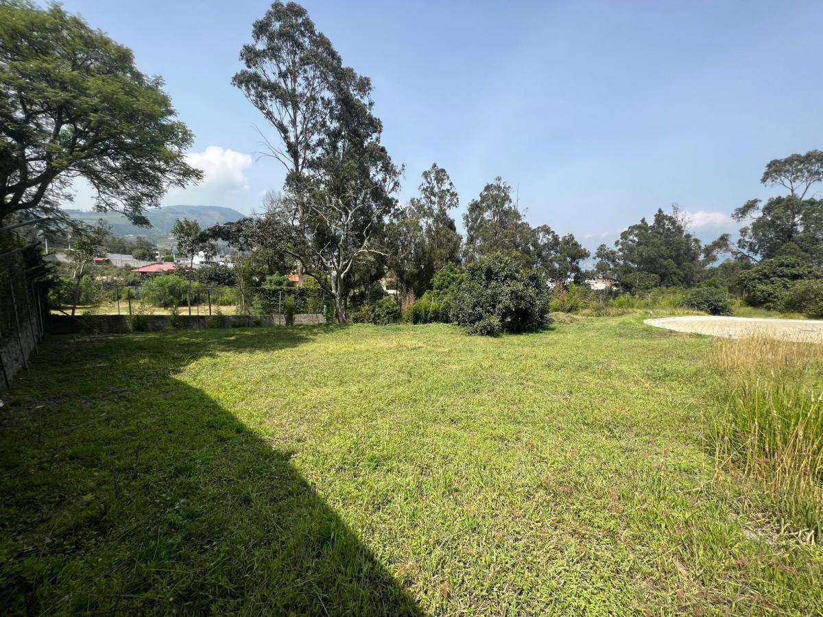 Venta Terreno 603 m² Tumbaco - Morita - Ruta Viva — imagen 4