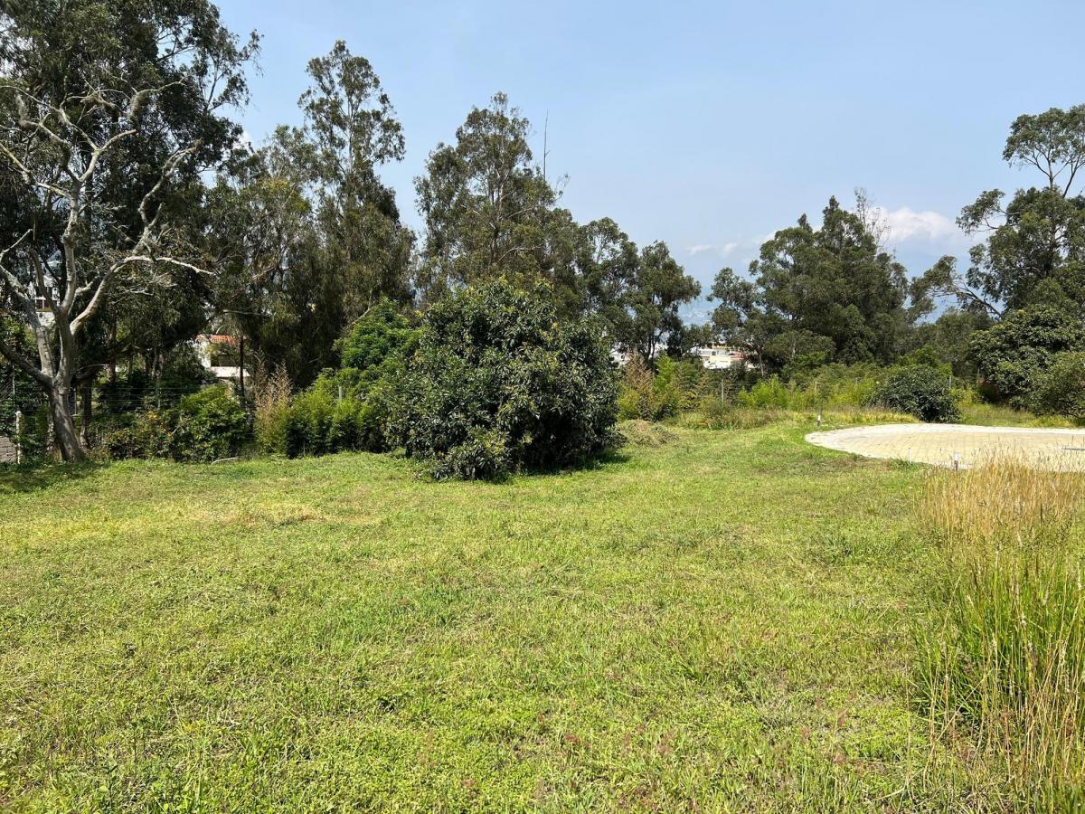 Venta Terreno 603 m² Tumbaco - Morita - Ruta Viva — imagen 3