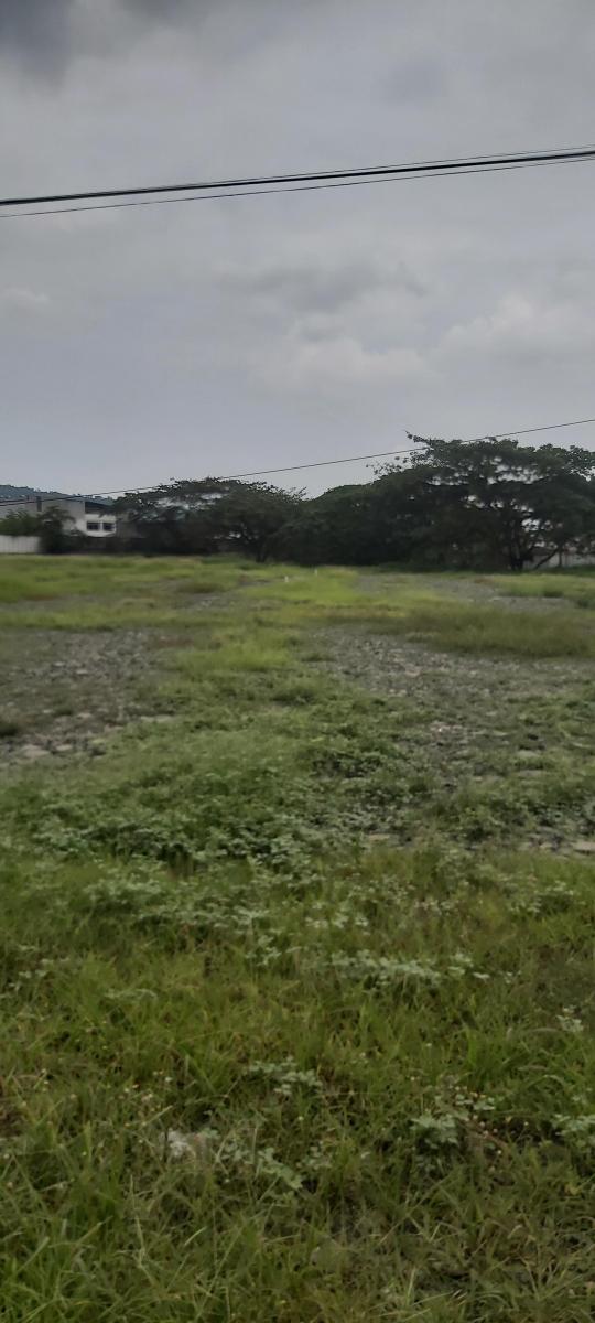 Venta Terreno Industrial 74.400 m Cuadrados Via a Daule, Guayas — imagen 5