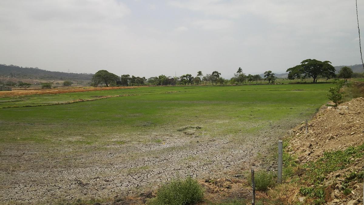 Venta Terreno Industrial 74.400 m Cuadrados Via a Daule, Guayas — imagen 4