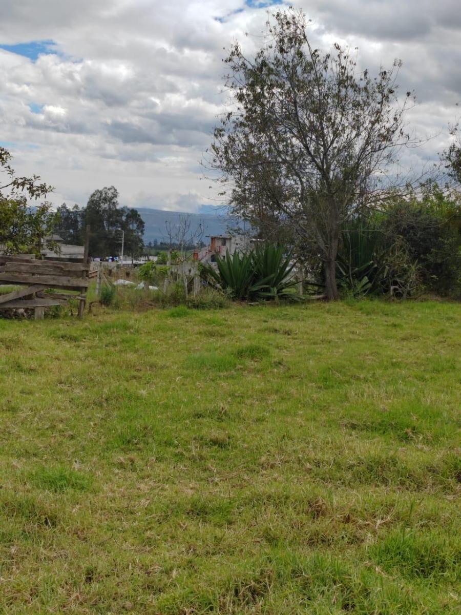 Terreno de Venta en Ascazubi - 3200 m² — imagen 10