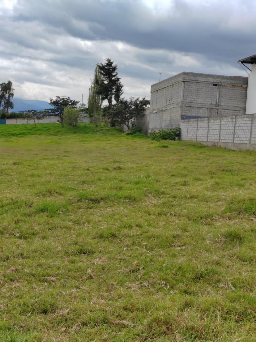 Terreno de Venta en Ascazubi - 3200 m² — imagen 9
