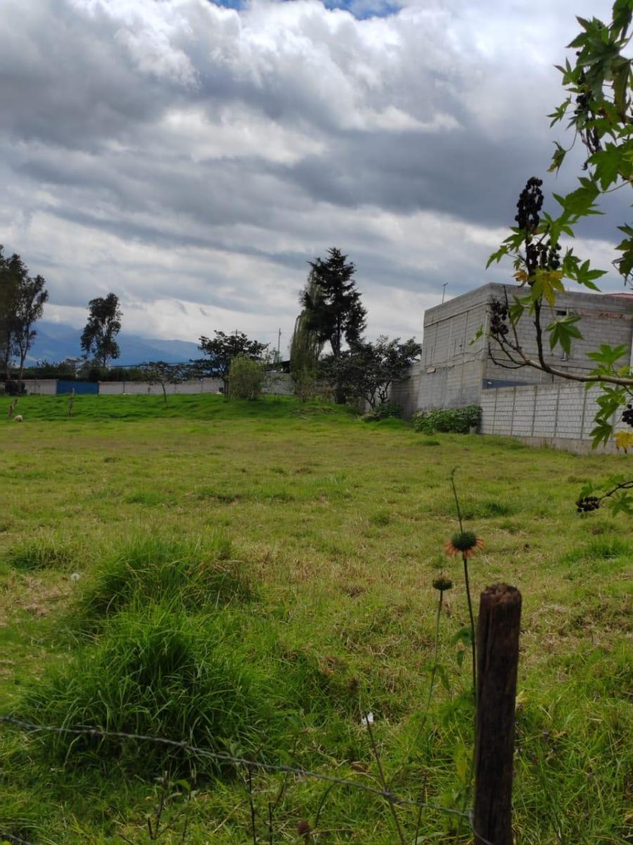 Terreno de Venta en Ascazubi - 3200 m² — imagen 8