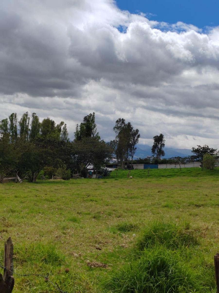 Terreno de Venta en Ascazubi - 3200 m² — imagen 7