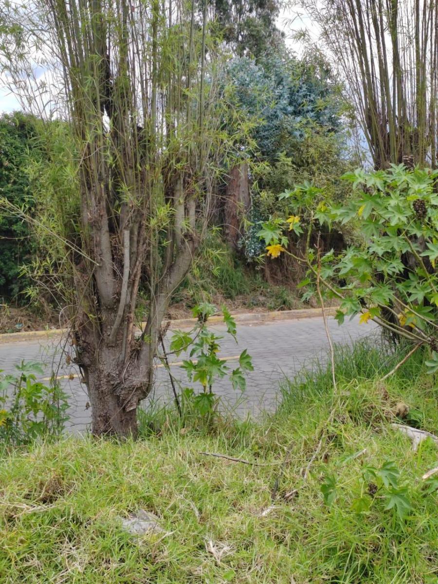 Terreno de Venta en Ascazubi - 3200 m² — imagen 6
