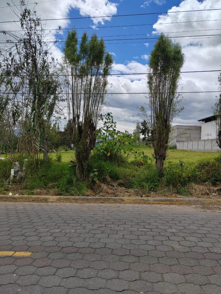 Terreno de Venta en Ascazubi - 3200 m² — imagen 5