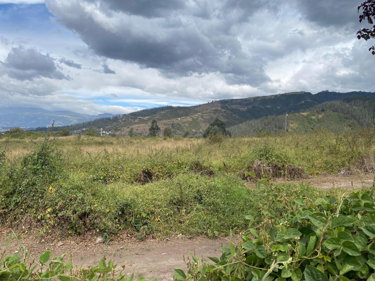 Vendo, Lumbisí, ¡Terreno con Excelente Ubicación Para Desarrollo Inmobiliario! — imagen 9