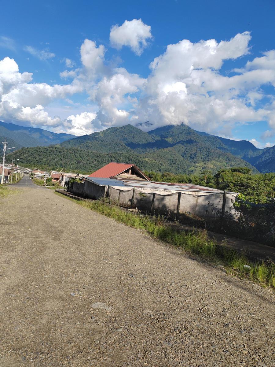 Vendo Terreno Planito Urbanizado en Borja, Napo — imagen 10