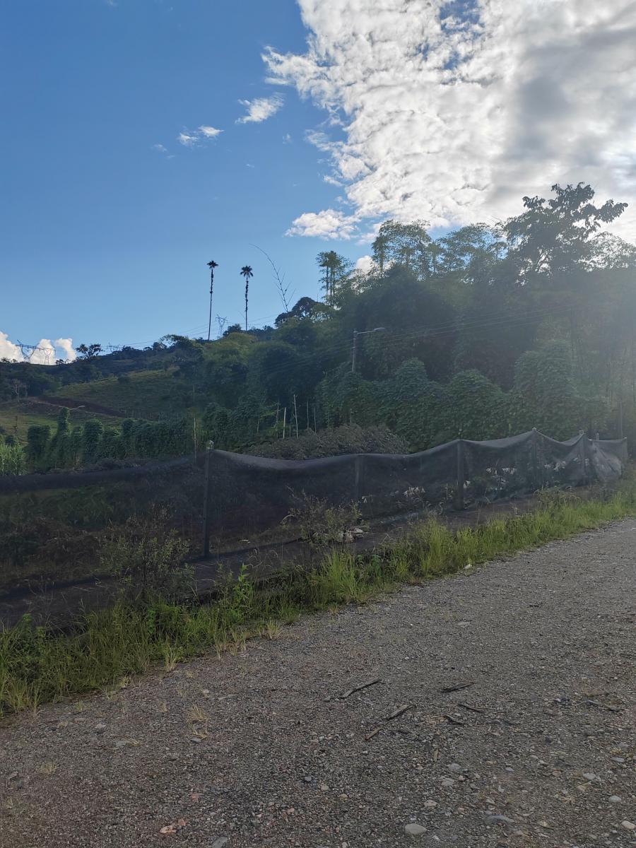 Vendo Terreno Planito Urbanizado en Borja, Napo — imagen 6