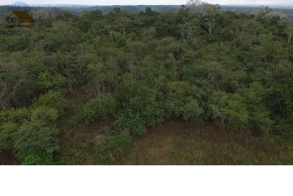 Terreno - Norte de Isidro Ayora, Guayas — imagen 5