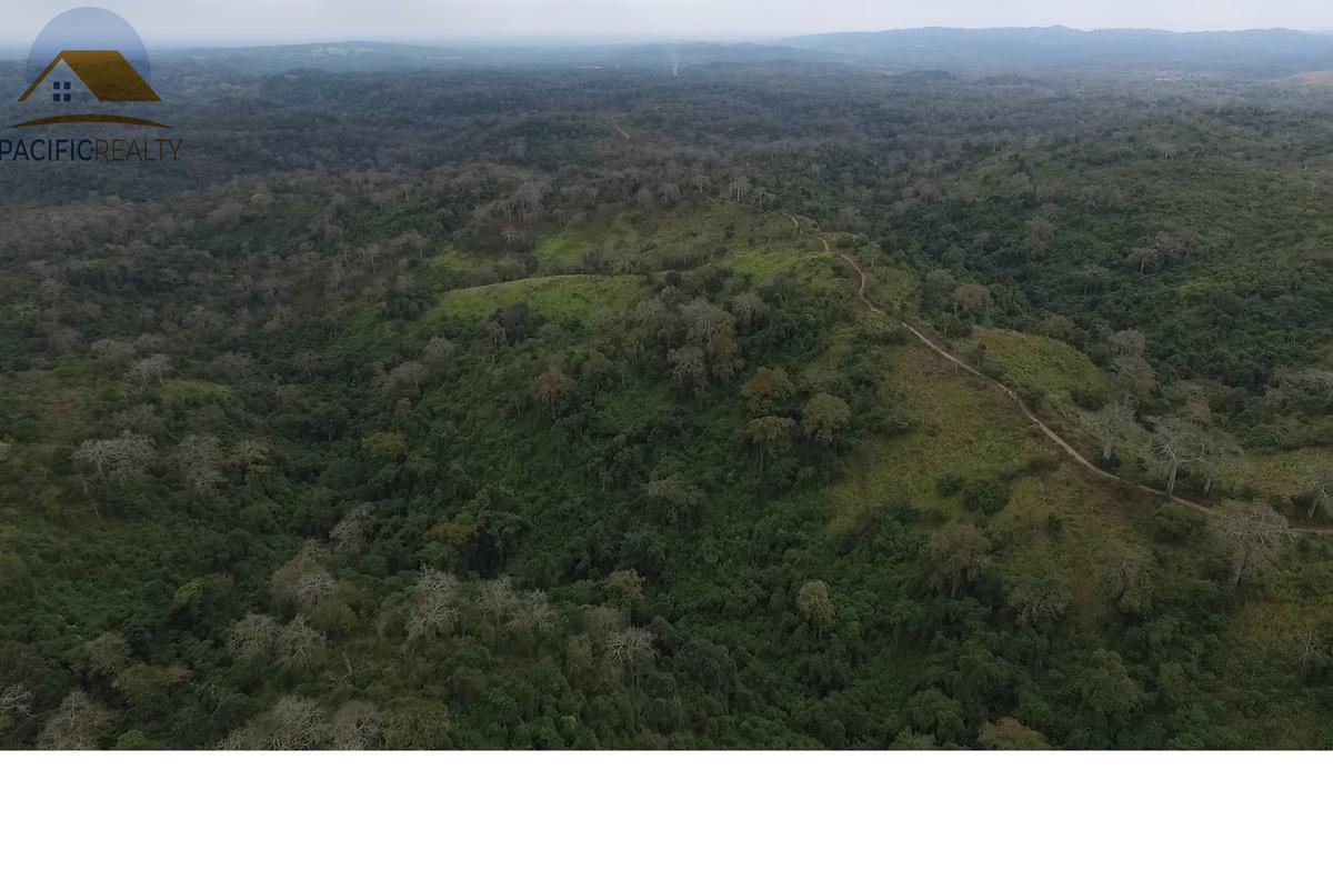 Terreno - Norte de Isidro Ayora, Guayas — imagen 4