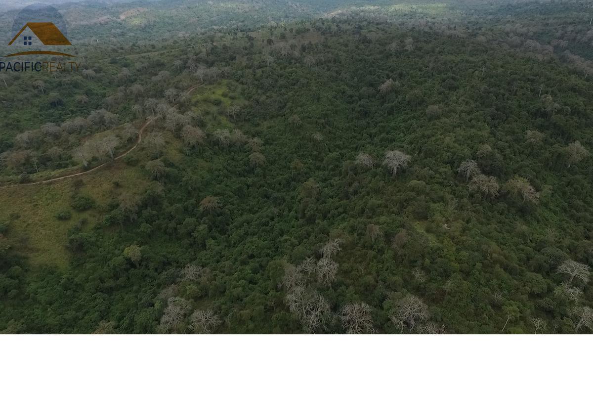 Terreno - Norte de Isidro Ayora, Guayas — imagen 3