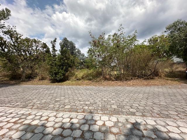 Terrenos Sector Parque Cumbayá Residencial en Venta — imagen 8