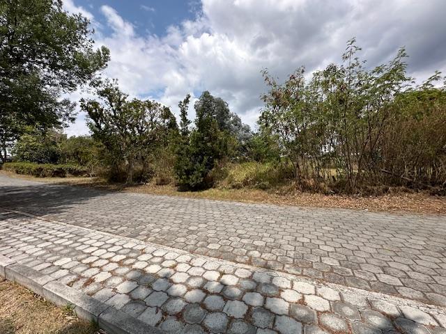 Terrenos Sector Parque Cumbayá Residencial en Venta — imagen 7