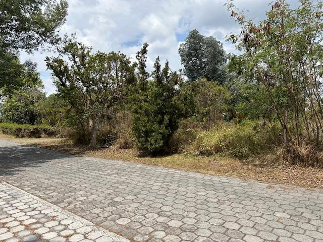 Terrenos Sector Parque Cumbayá Residencial en Venta — imagen 6