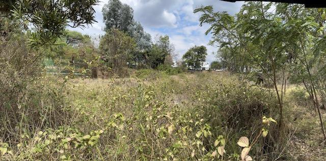 Terrenos Sector Parque Cumbayá Residencial en Venta — imagen 4