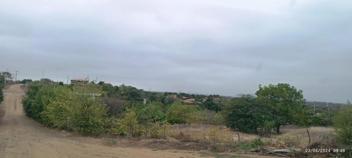 Fincas Colinas del Pacifico, General Villamil Playas, Guayas — imagen 9