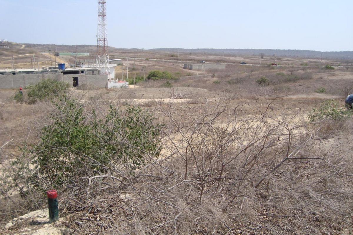 Terreno en Punta Blanca, 2 Cuadras de La Playa A. Blum — imagen 9
