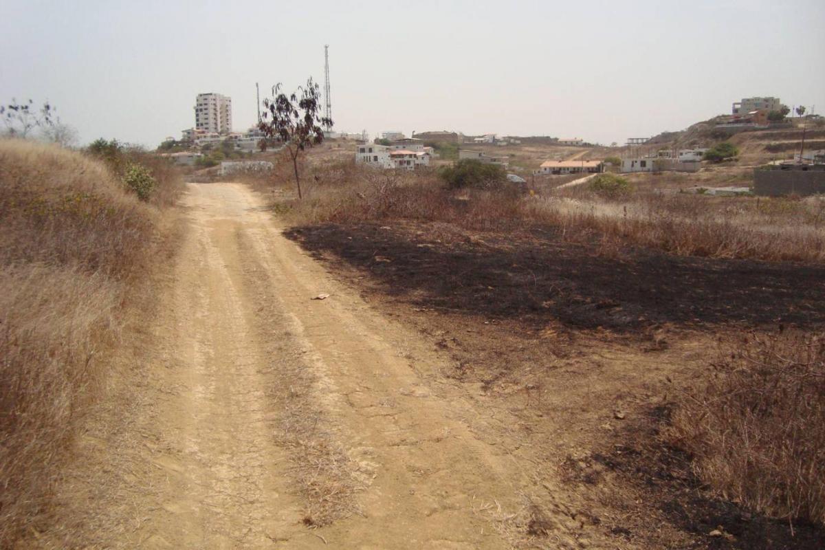 Terreno en Punta Blanca, 2 Cuadras de La Playa A. Blum — imagen 5