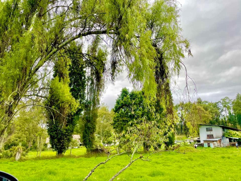 Vendo Terreno Para Proyecto en Chiquintad, Azuay — imagen 6