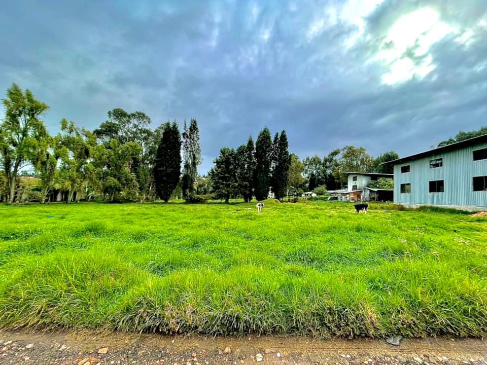 Vendo Terreno Para Proyecto en Chiquintad, Azuay — imagen 5
