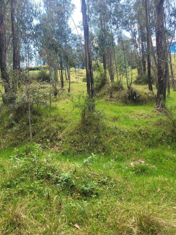 Vendo Terreno, Sector La Armenia — imagen 10