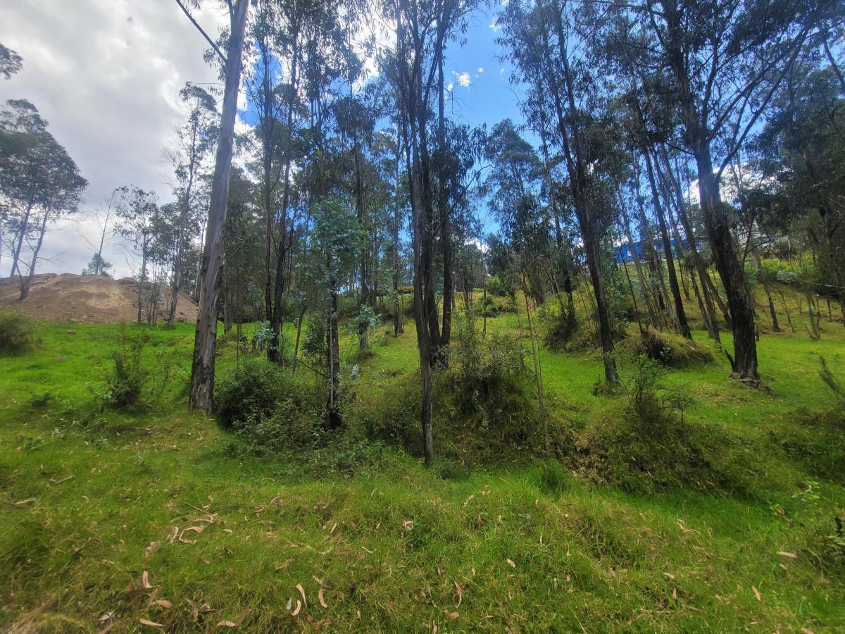 Vendo Terreno, Sector La Armenia — imagen 7
