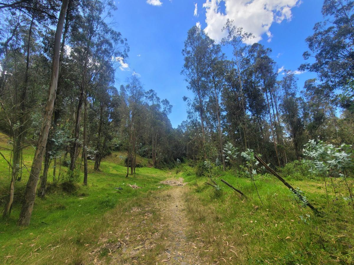 Vendo Terreno, Sector La Armenia — imagen 6