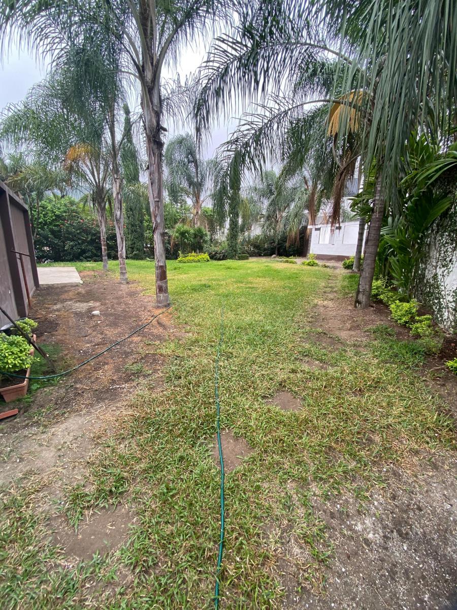 Terreno Olivos, Guayas — imagen 5