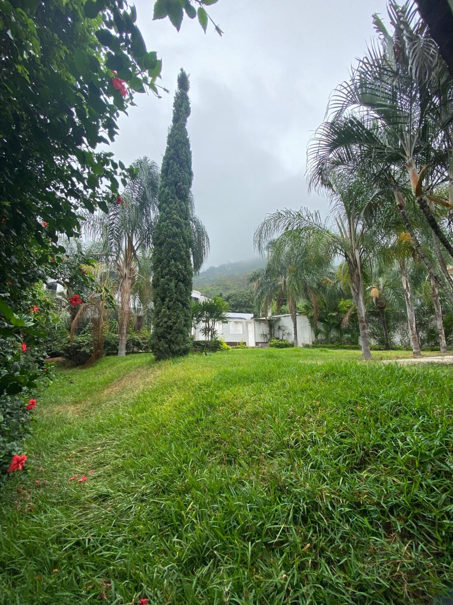 Terreno Olivos, Guayas — imagen 4